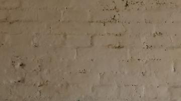 Photo: Unsplash/@utsmanmedia