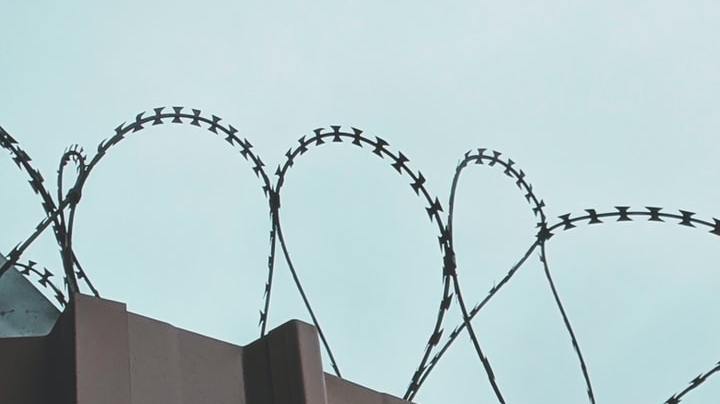 Photo: Unsplash/@sigmund