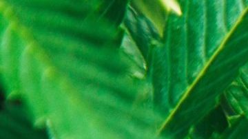 Photo: Unsplash/@rickproctor