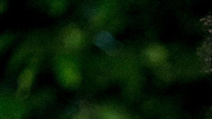 Photo: Flickr/Mídia Ninja