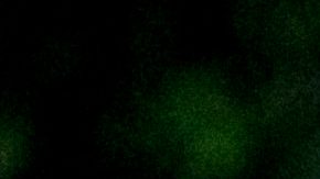 Photo: Flickr/Mídia Ninja