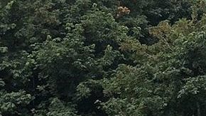 Photo: Unsplash/travelingselena