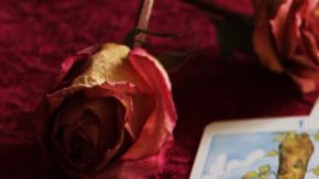 Tarotscopes HipLatina