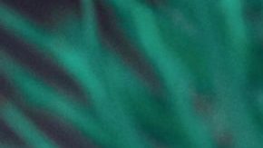 Frida Kahlo Tattoos HipLatina