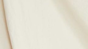 sofia vergara americas got talent