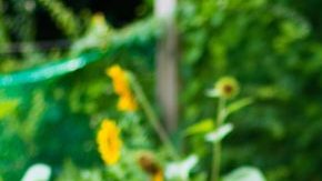 Latinas in wellness HipLatina