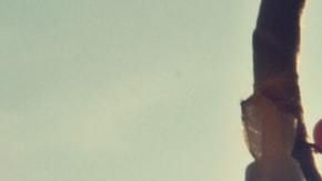 Photo: Unsplash/@dyaaeldin