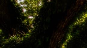 Photo: Unsplash/@usa_reiseblogger_de