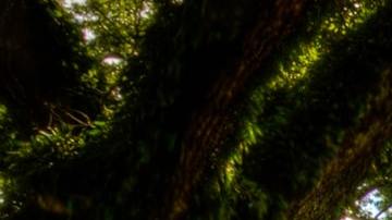 Photo: Unsplash/@usa_reiseblogger_de