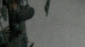 Photo: Unsplash/@sejadisruptivo