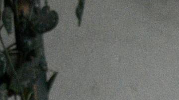 Photo: Unsplash/@sejadisruptivo