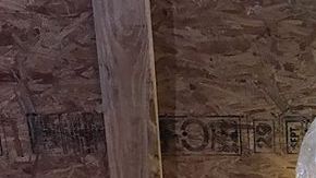 Photo: Instagram/latinorebels