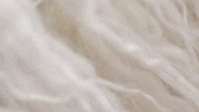 Photo: Unsplash/@element5digital