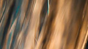 Photo: Unsplash/@jamie_fenn