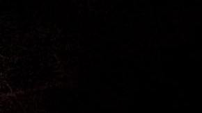 Photo: Unsplash/@simonbhray