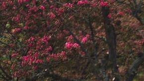 Photo: Unsplash/@jgrospe