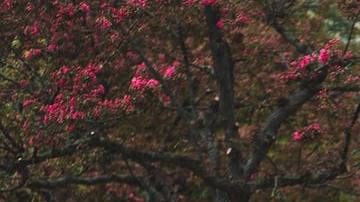 Photo: Unsplash/@jgrospe