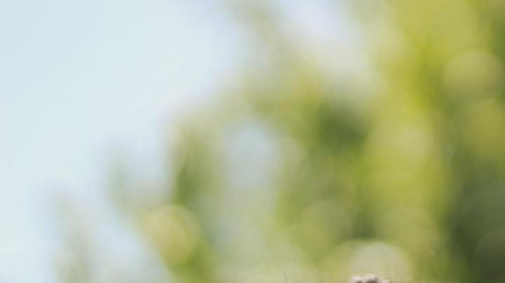 Photo: Unsplash/@ohleighann