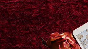 Tarotscopes HipLatina