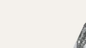 Photo: Instagram/Beyonce, Netflix