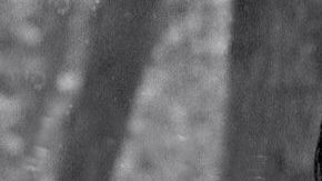 Photo: Wikimedia/Cesar_chavez.jpg: Joel Levine