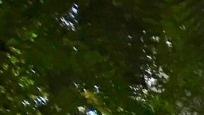 Photo: Unsplash/@gagan_1