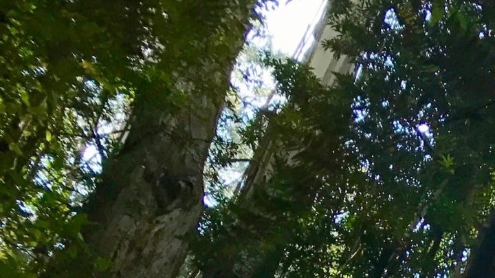 Photo: Unsplash/@gagan_1