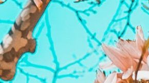 Photo: Unsplash/@shapeofshape