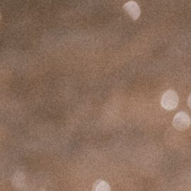 Photo: Unsplash/@jakobowens1