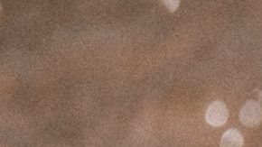 Photo: Unsplash/@jakobowens1