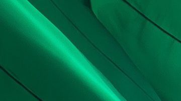 Photo: Unsplash/@jorgeaguilar