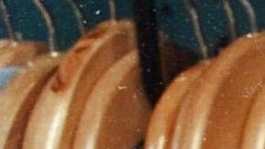 Photo: Unsplash/@beccamchaffie