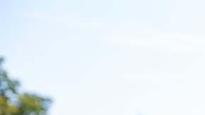 Photo: Unsplash/@darren1303