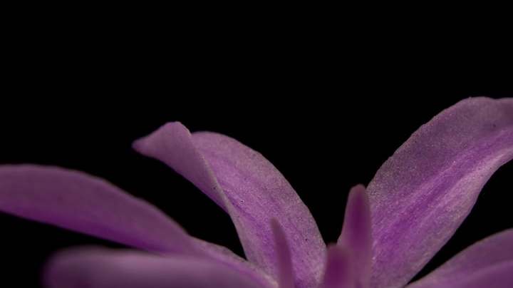 Photo: Unsplash/@picsbyjameslee