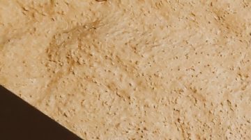 Photo: Unsplash/@stephenmont