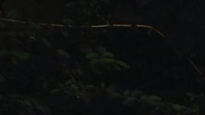 Photo: Unsplash/@nofilter_noglory