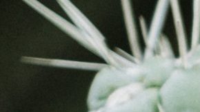 Photo: Unsplash/@zelleduda