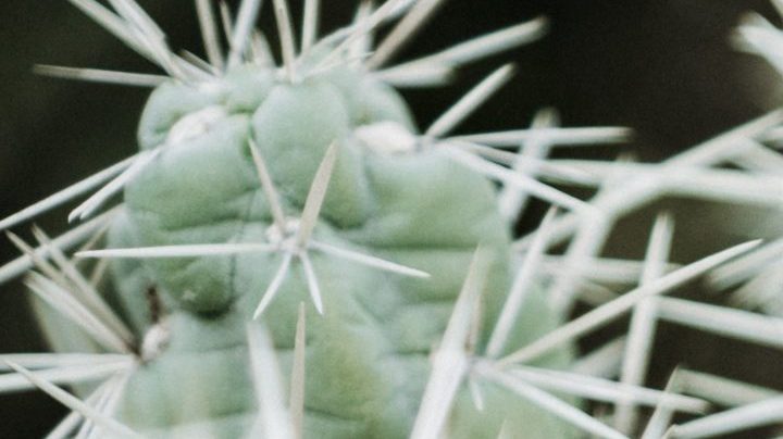 Photo: Unsplash/@zelleduda