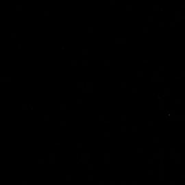 Vicente Fernández Proves That Machismo