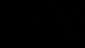 Vicente Fernández Proves That Machismo