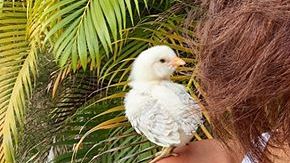 Photo: Instagram/joansmalls