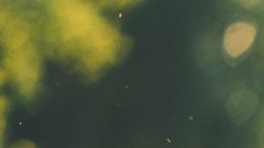 Photo: Unsplash/@overdriv3