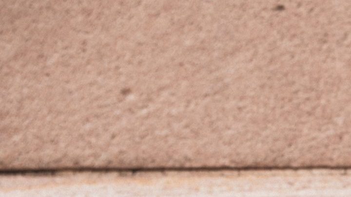 Photo: Unsplash/@carolineattwood