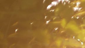 Photo: Unsplash/@esdesignisms