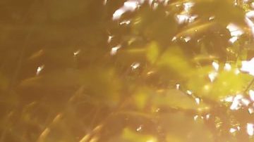 Photo: Unsplash/@esdesignisms