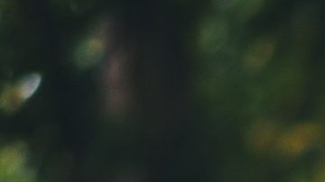 Photo: Unsplash/@eyeforebony