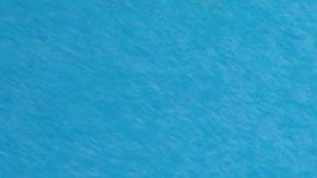 Photo: Unsplash/@halacious