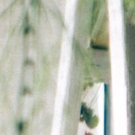 Photo: Unsplash/@john_tuesday