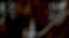 Photo: Unsplash/@vote4jose