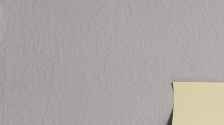 Photo: Unsplash/@kellysikkema